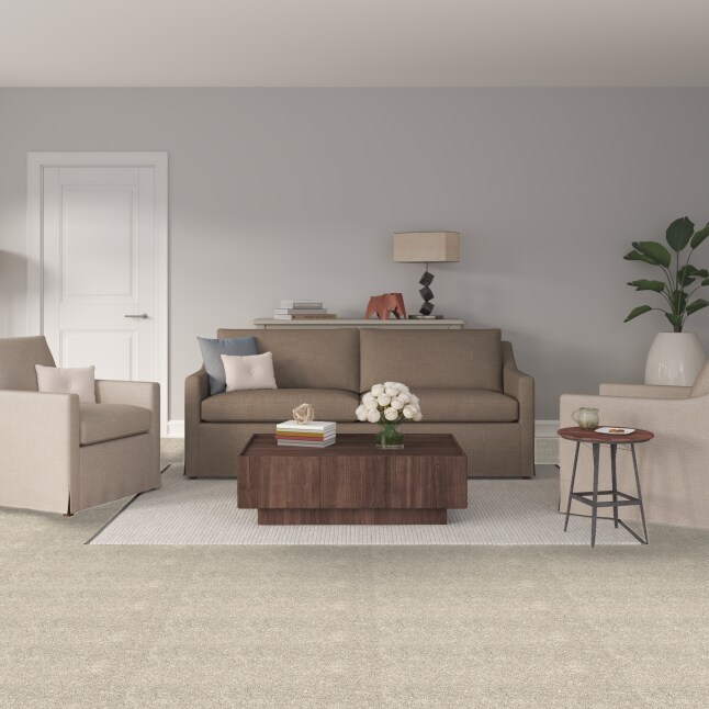 STAINMASTER S9135-122-S Carpet-Samples - View #2