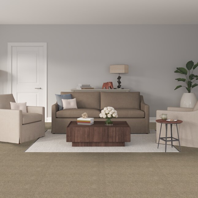 STAINMASTER S9135-863-S Carpet-Samples - View #2