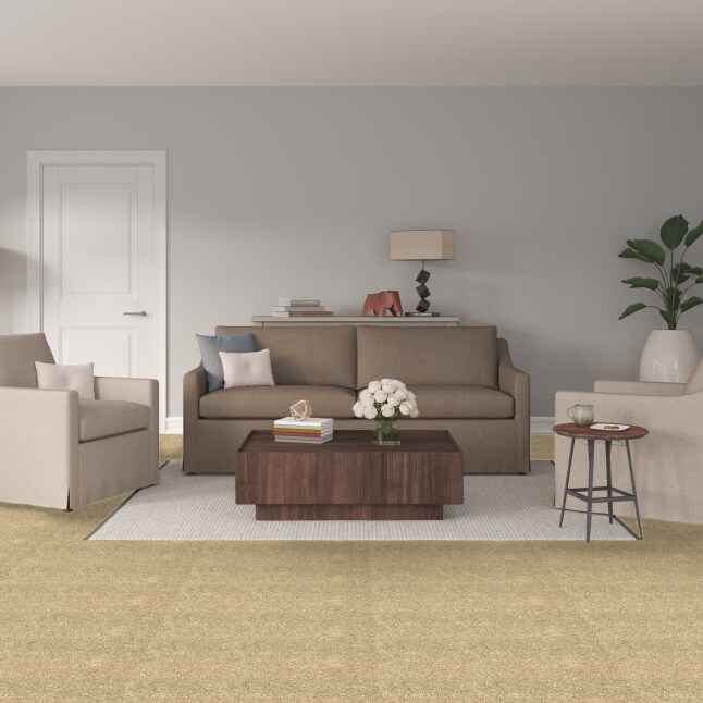 STAINMASTER S9135-721-S Carpet-Samples - View #2