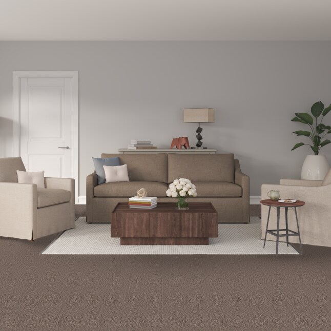 STAINMASTER S8744-948-S Carpet-Samples - View #2