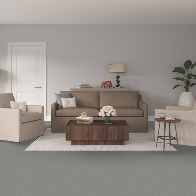 STAINMASTER PetProtect LU773-W4018-1200-AB Carpet-Panel - View #2