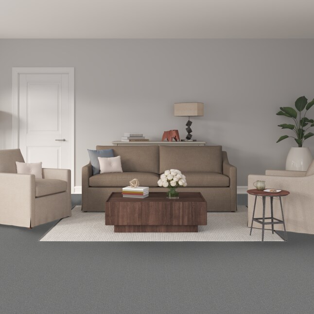 STAINMASTER PetProtect LU775-W0074-1200-AB Carpet-Panel - View #2