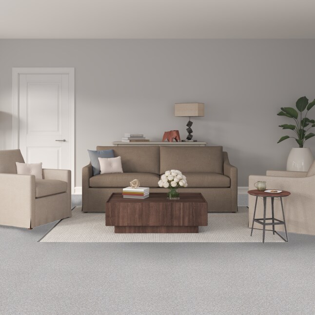 STAINMASTER 7L856 - 115 - SAMP Carpet-Samples - View #2
