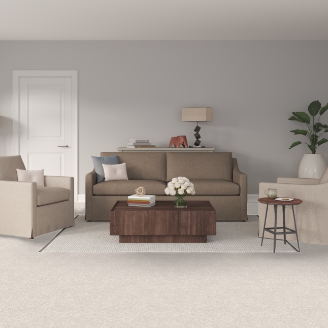 STAINMASTER PetProtect 7L88300102 Carpet-Panel - View #2