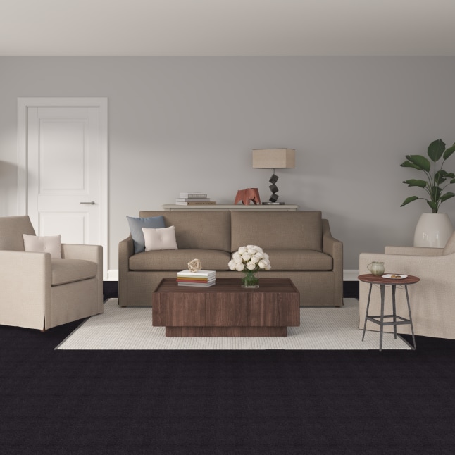 STAINMASTER PetProtect 7L88300503 Carpet-Panel - View #2
