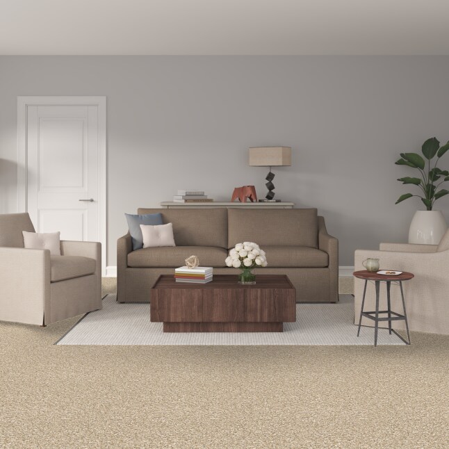 STAINMASTER S9150-844-S Carpet-Samples - View #2