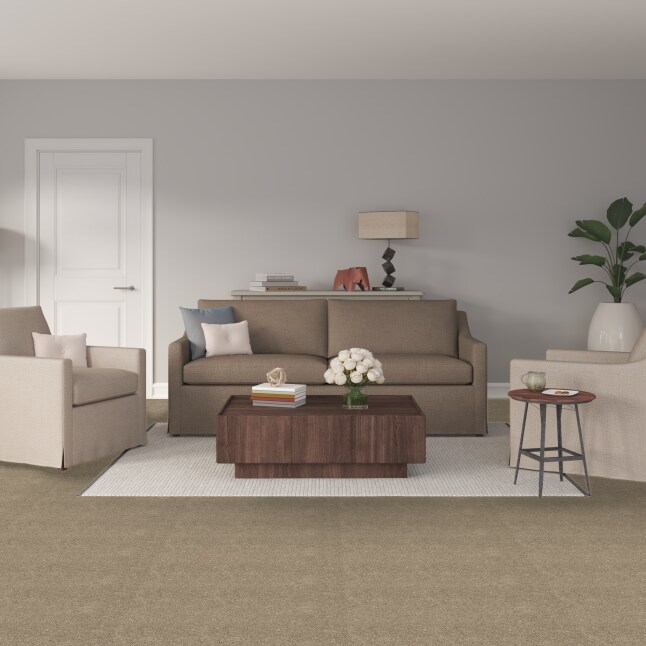 STAINMASTER S9150-863-S Carpet-Samples - View #2