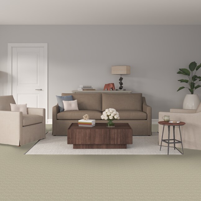 STAINMASTER S9560-111-1200-MO Carpet-Panel - View #2