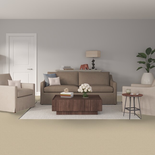 STAINMASTER 7L905 - 173 - SAMP Carpet-Samples - View #2