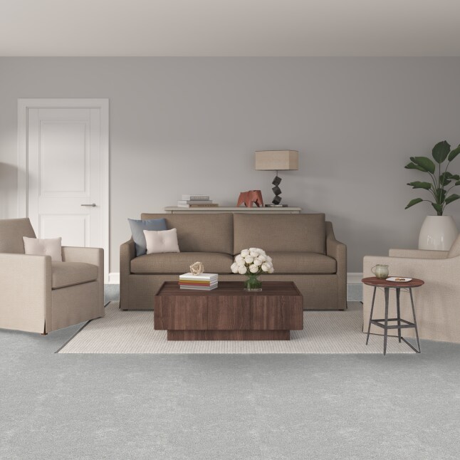 STAINMASTER 7L887 - 105 - SAMP Carpet-Samples - View #2