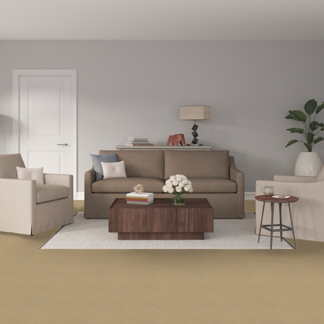STAINMASTER 7L90500783 Carpet-Panel - View #2