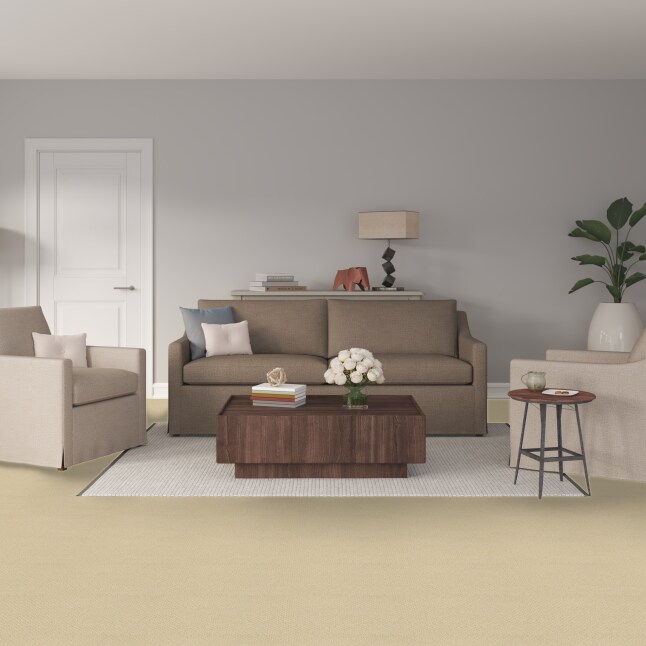 STAINMASTER 7L905 - 184 - SAMP Carpet-Samples - View #2