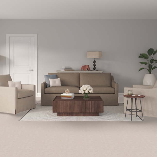 STAINMASTER PetProtect 7L891 - 104 - SAMP Carpet-Samples - View #2