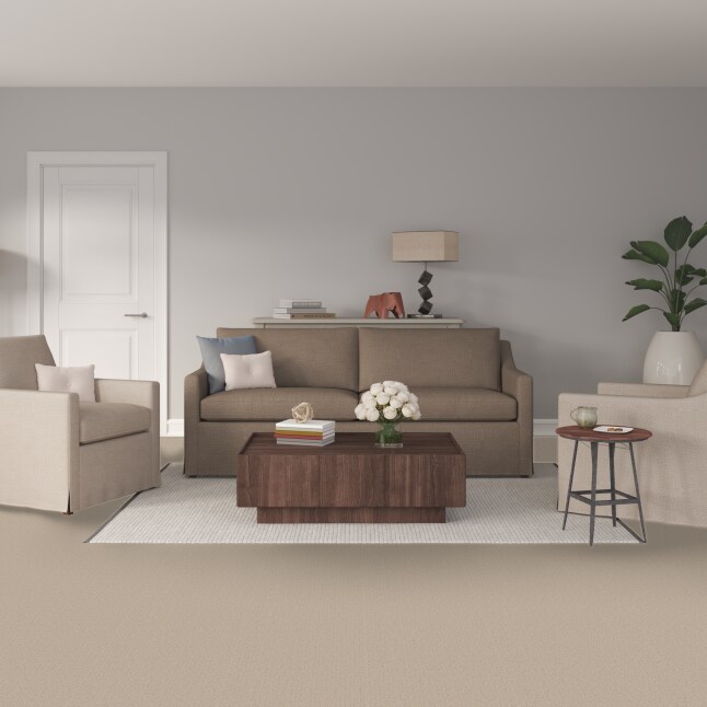 STAINMASTER PetProtect 7L899 - 114 - SAMP Carpet-Samples - View #2