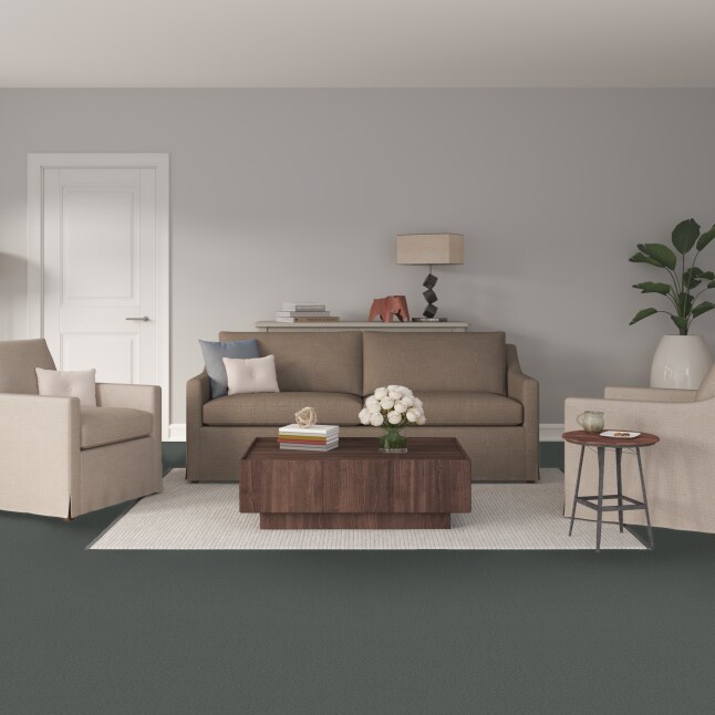 STAINMASTER PetProtect 7L899 - 446 - SAMP Carpet-Samples - View #2