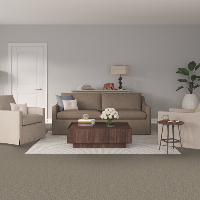 STAINMASTER PetProtect S9754-748-S Carpet-Samples - View #2