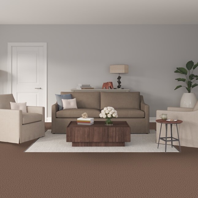 STAINMASTER S9570-843-1200-MO Carpet-Panel - View #2