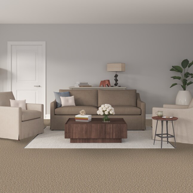 STAINMASTER PetProtect S9066-721-1200-MO Carpet-Panel - View #2