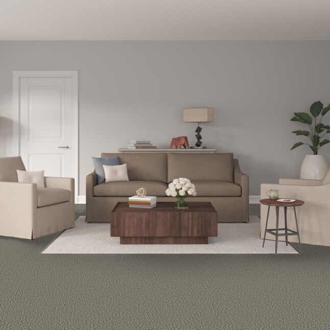 STAINMASTER S9255-936-1200-MO Carpet-Panel - View #2