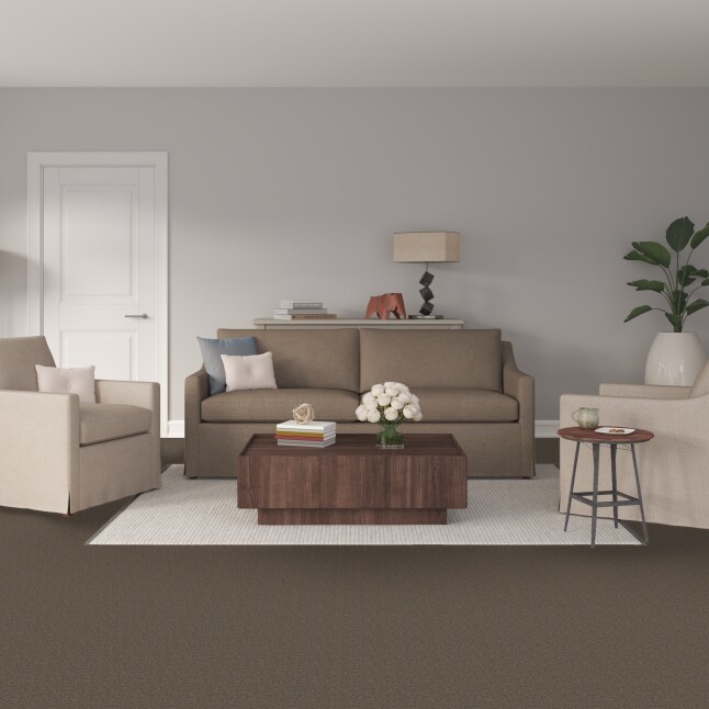 STAINMASTER S9043-868-1200-MO Carpet-Panel - View #2