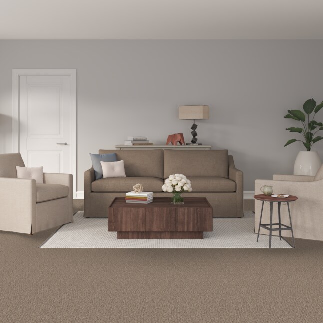 STAINMASTER S9768-824-S Carpet-Samples - View #2