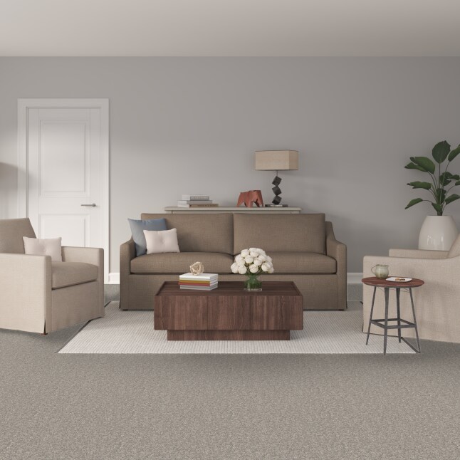 STAINMASTER S9043-819-1200-MO Carpet-Panel - View #2