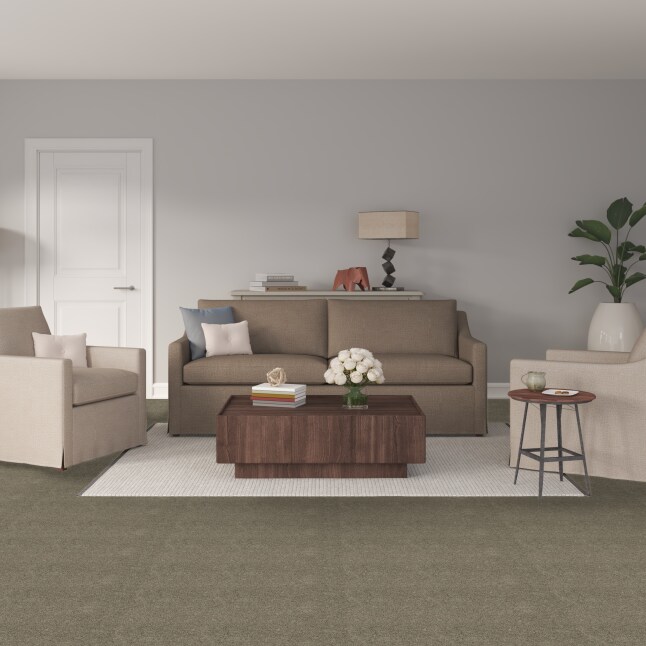 STAINMASTER PetProtect S9340-867-S Carpet-Samples - View #2