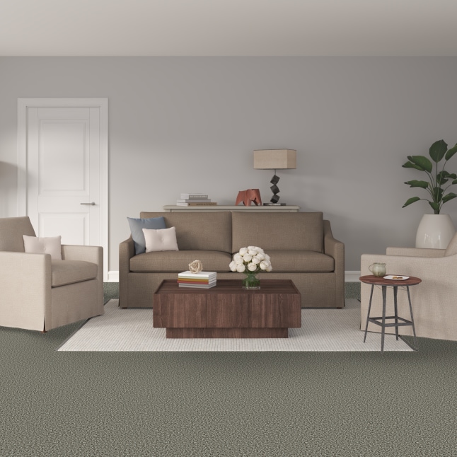 STAINMASTER S9242-936-S Carpet-Samples - View #2