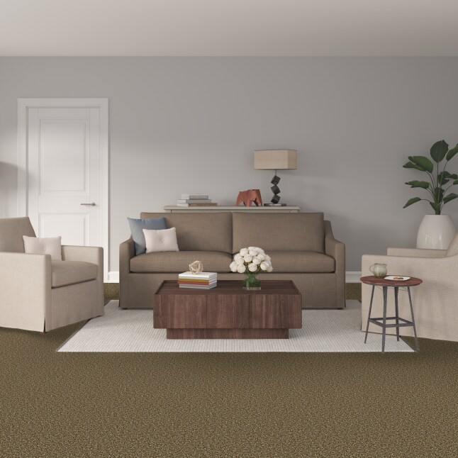 STAINMASTER S9242-844-1200-MO Carpet-Panel - View #2