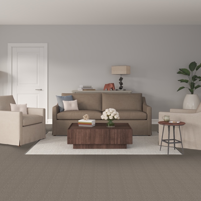 STAINMASTER S9753-979-S Carpet-Samples - View #2