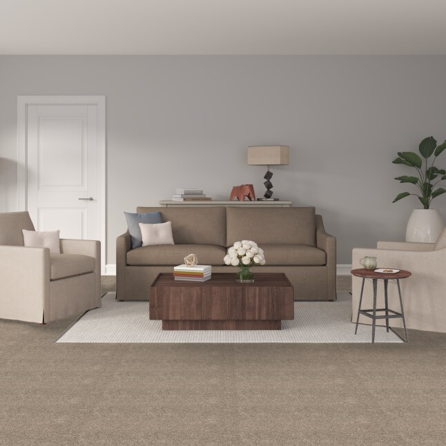STAINMASTER S9753-743-1200-MO Carpet-Panel - View #2