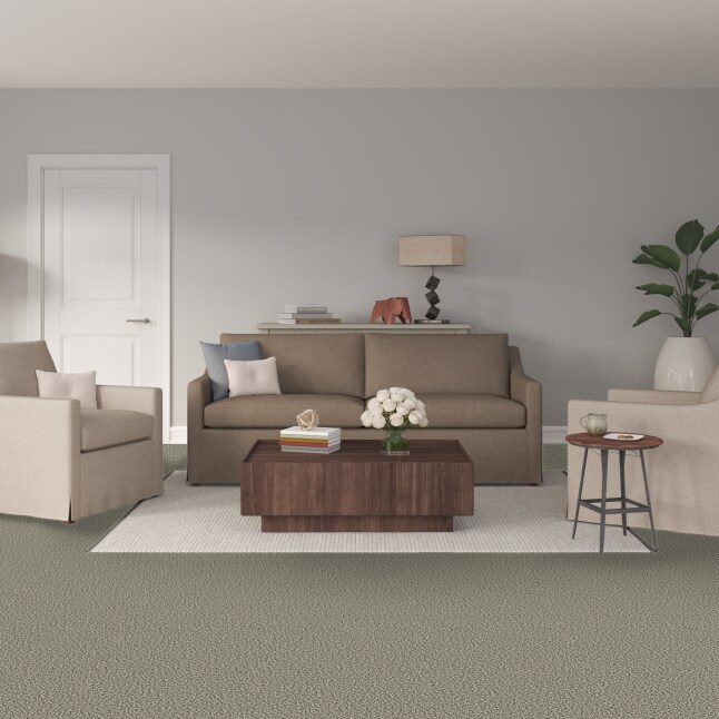 STAINMASTER S9242-913-1200-MO Carpet-Panel - View #2