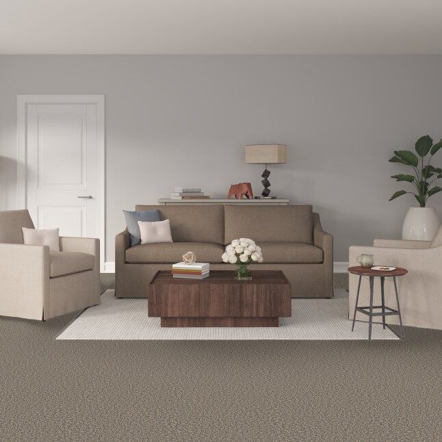 STAINMASTER PetProtect S9055-965-1200-MO Carpet-Panel - View #2