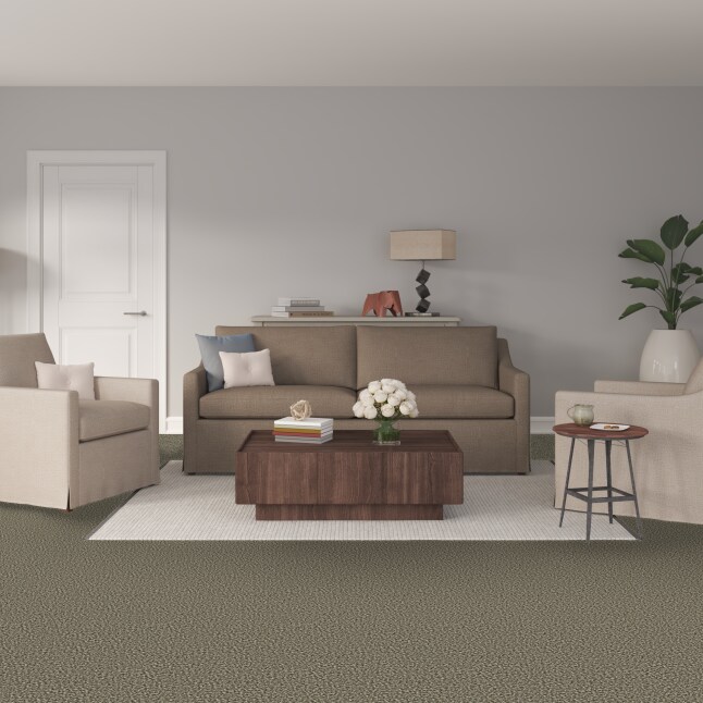 STAINMASTER S9242-926-1200-MO Carpet-Panel - View #2