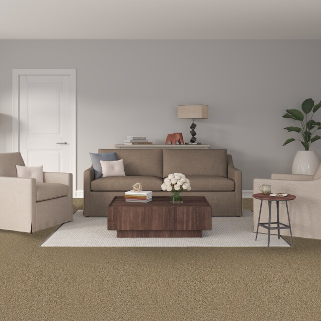 STAINMASTER S9270-733-1200-MO Carpet-Panel - View #2