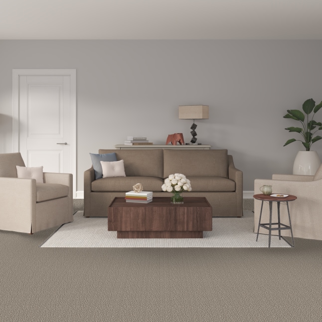 STAINMASTER STP53-12-L010 Carpet-Panel - View #2