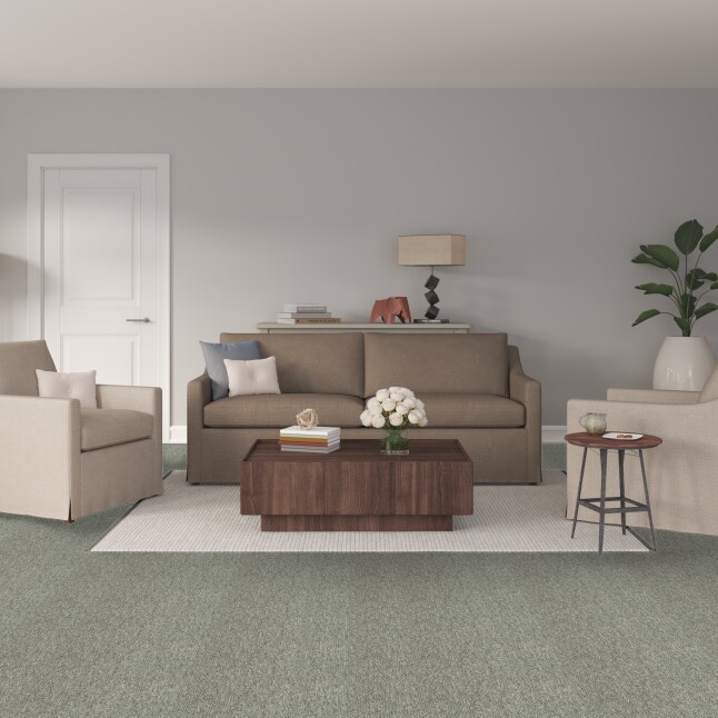  LC73-12-L008 Carpet-Panel - View #2