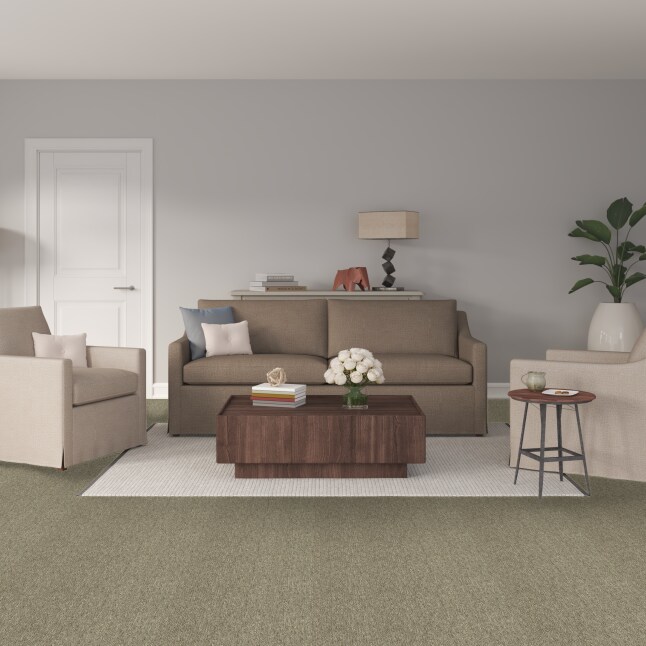  LC73-12-L005 Carpet-Panel - View #2