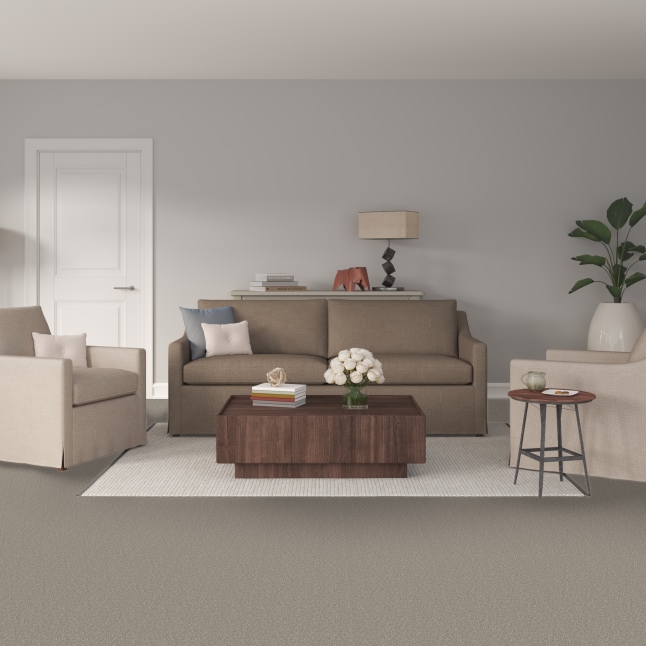 STAINMASTER STP66-15-L012 Carpet-Panel - View #2