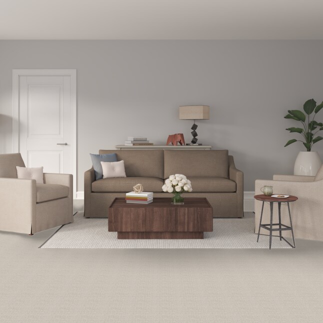 STAINMASTER PetProtect 7L88500501 Carpet-Panel - View #2