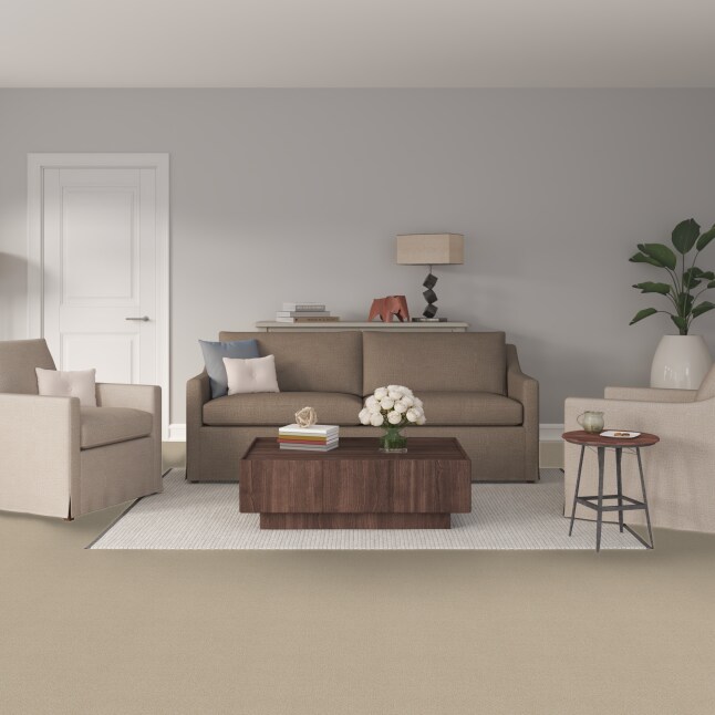 STAINMASTER 7L90500770 Carpet-Panel - View #2