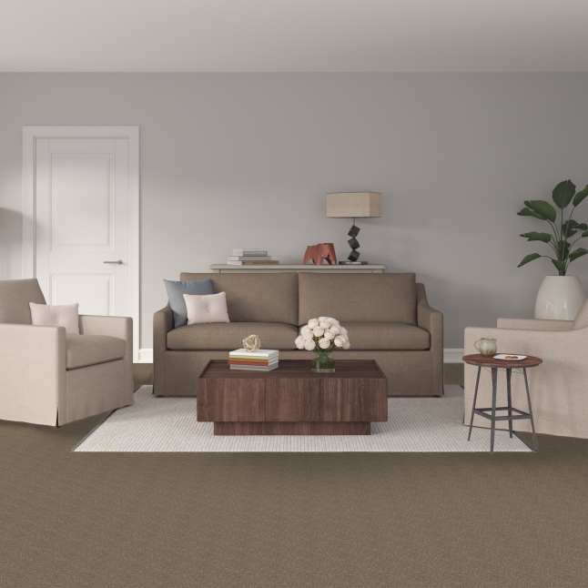 STAINMASTER FB029-302-1200-AB Carpet-Panel - View #2