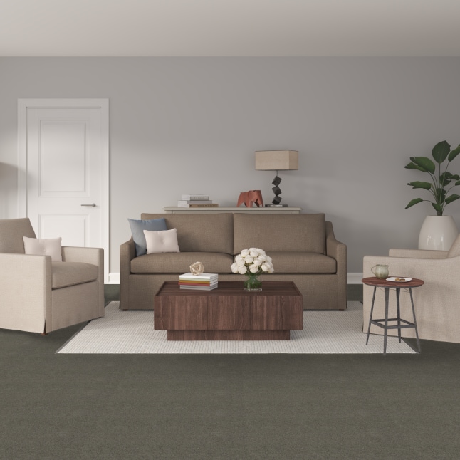 STAINMASTER FB029-303-S Carpet-Samples - View #2