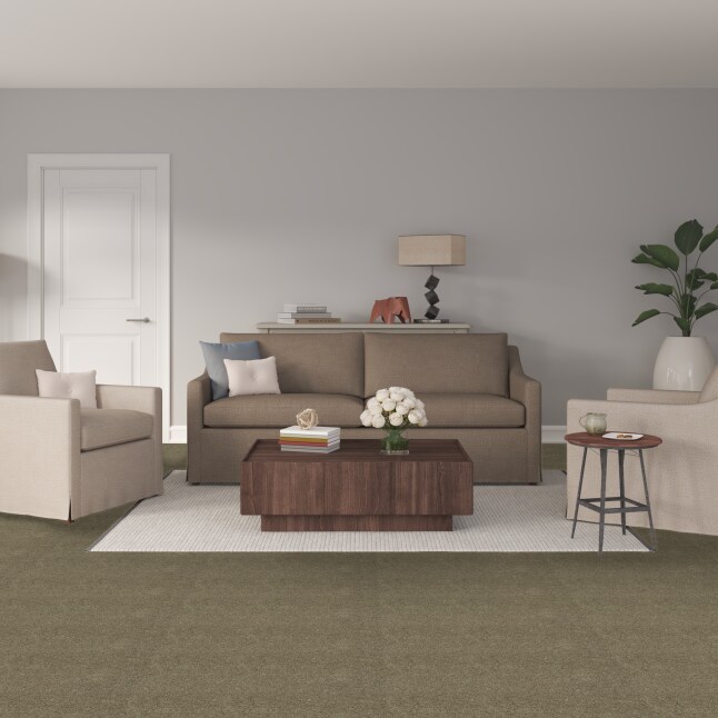 STAINMASTER FB039-301-1200-AB Carpet-Panel - View #2