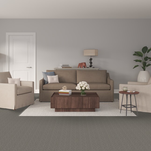 STAINMASTER FB049-305-1200-AB Carpet-Panel - View #2
