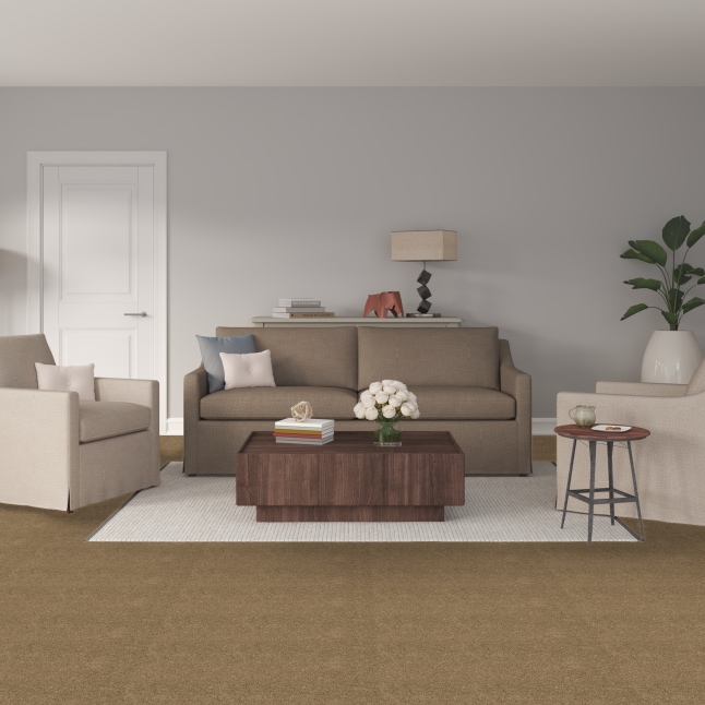 STAINMASTER S7045-2-1200-AB Carpet-Panel - View #2