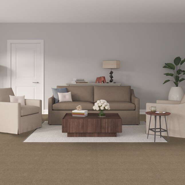 STAINMASTER S7045-4-1200-AB Carpet-Panel - View #2