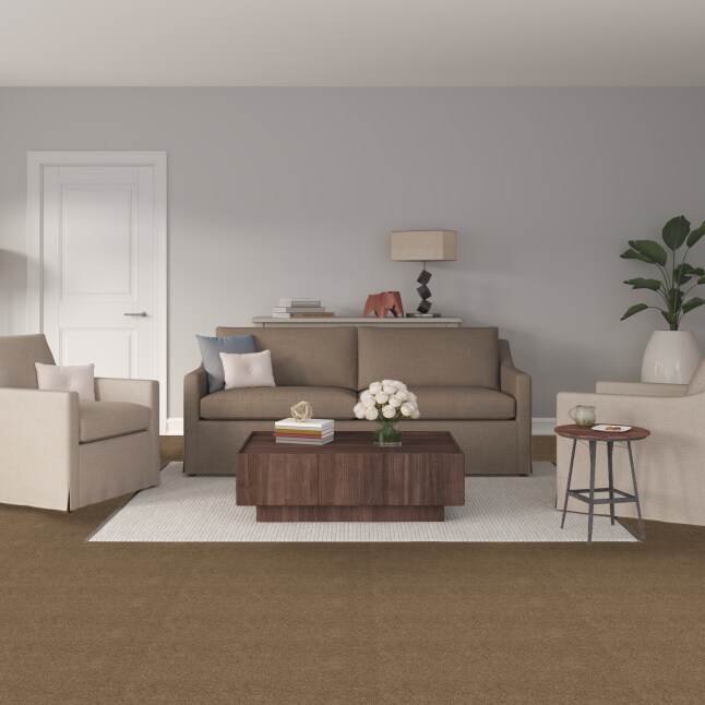 STAINMASTER S7045-6-1200-AB Carpet-Panel - View #2