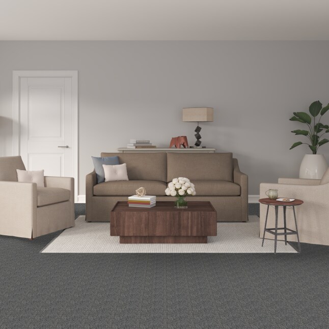 Style Selections CCV05-L009-0808 Carpet-Samples - View #2